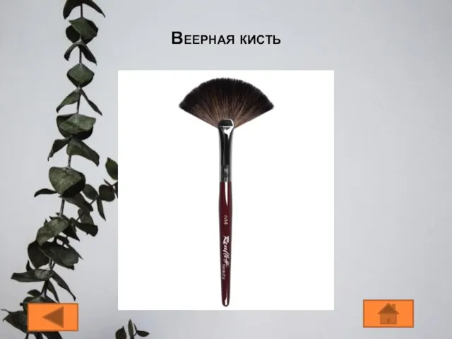 Веерная кисть