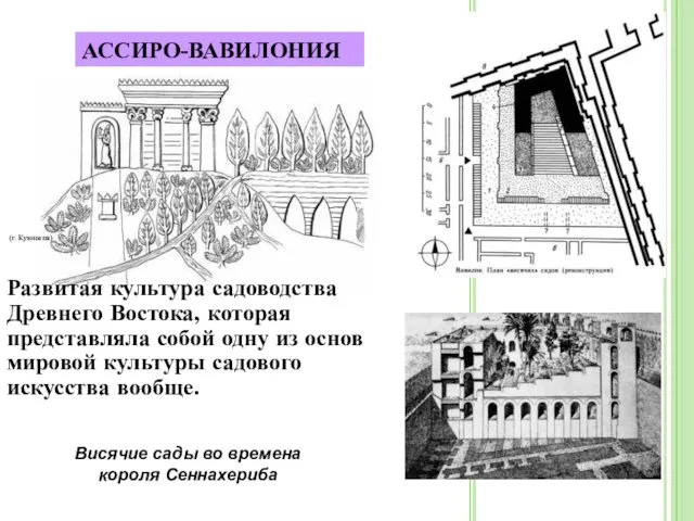 (г. Куюнжик) АССИРО-ВАВИЛОНИЯ Развитая культура садоводства Древнего Востока, которая представляла