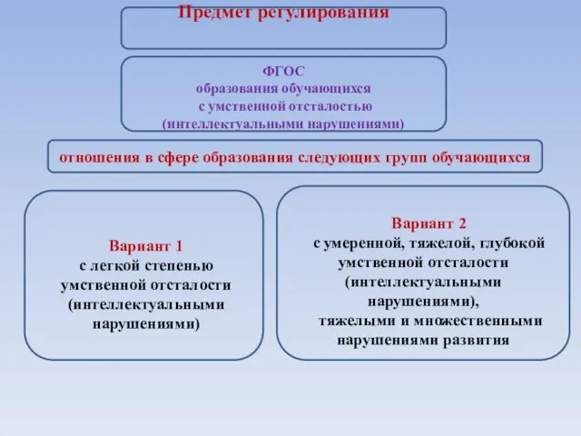 Предмет регулирования ФГОС образования обучающихся с умственной отсталостью (интеллектуальными нарушениями)