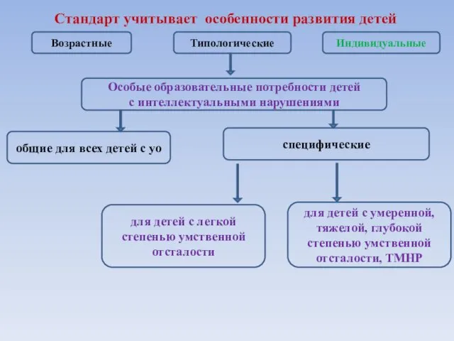 Стандарт учитывает особенности развития детей Возрастные Типологические Индивидуальные Особые образовательные