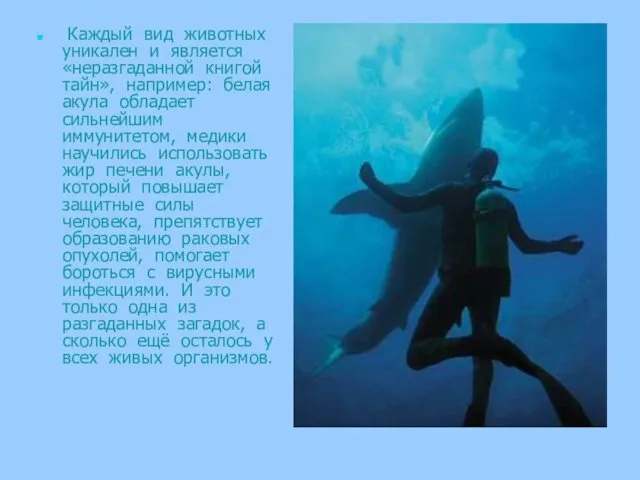 Каждый вид животных уникален и является «неразгаданной книгой тайн», например: белая акула обладает