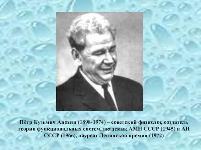 Пётр Кузьмич Анохин (1898-1974) – советский физиолог, создатель теории функциональных