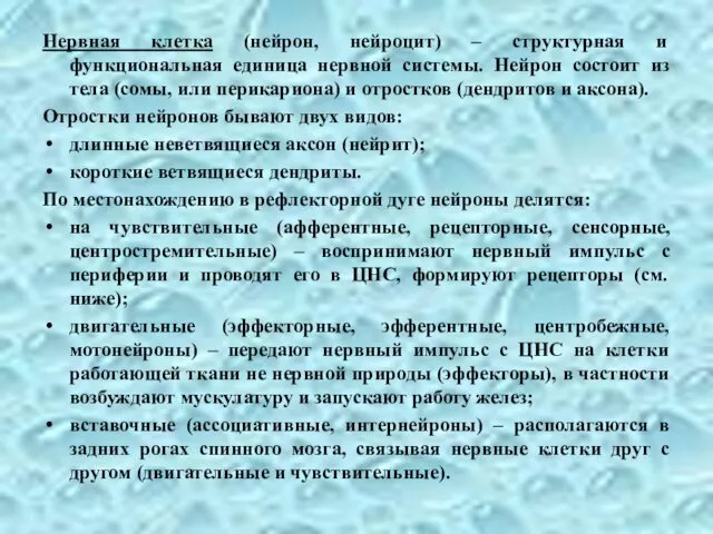 Нервная клетка (нейрон, нейроцит) – структурная и функциональная единица нервной