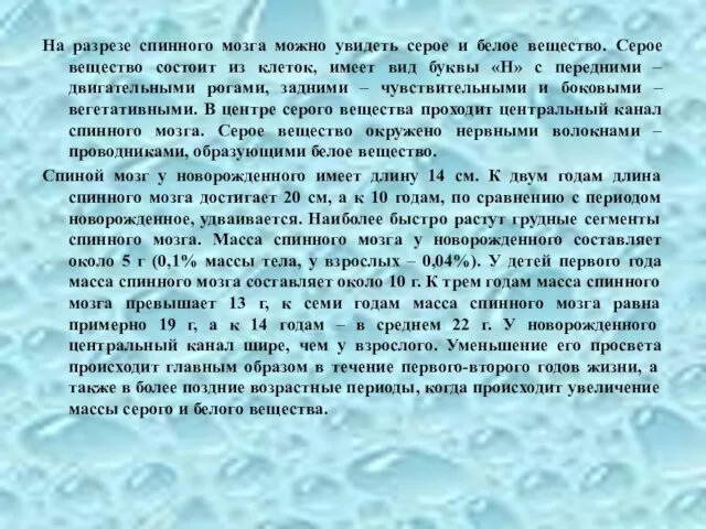 На разрезе спинного мозга можно увидеть серое и белое вещество.