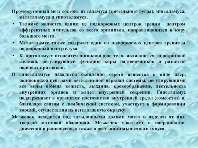 Промежуточный мозг состоит из таламуса (зрительного бугра), эпиталамуса, метаталамуса и