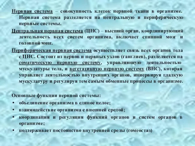 Нервная система – совокупность клеток нервной ткани в организме. Нервная