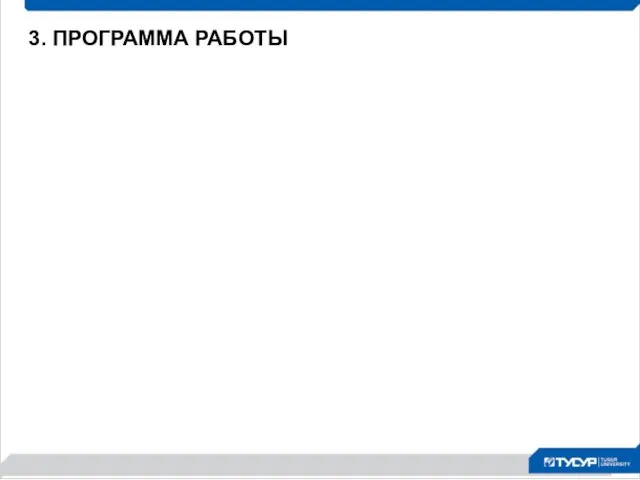 3. ПРОГРАММА РАБОТЫ