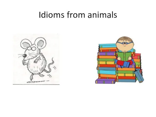 Idioms from animals