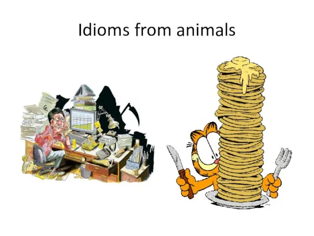 Idioms from animals