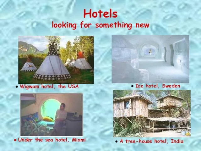 Hotels looking for something new ● A tree-house hotel, India
