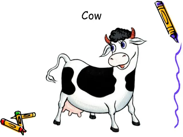 Cow