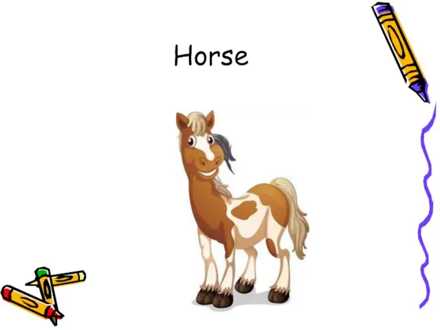 Horse