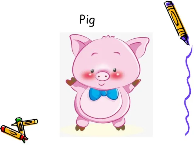 Pig