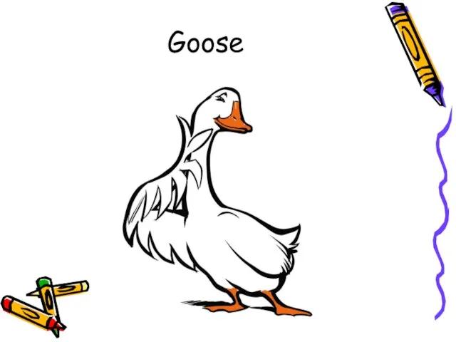 Goose