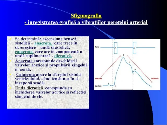 Sfigmografia - înregistratea grafică a vibraţiilor peretelui arterial Se determină: