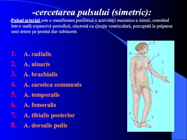 cercetarea pulsului (simetric): Pulsul arterial este o manifestare periferică a
