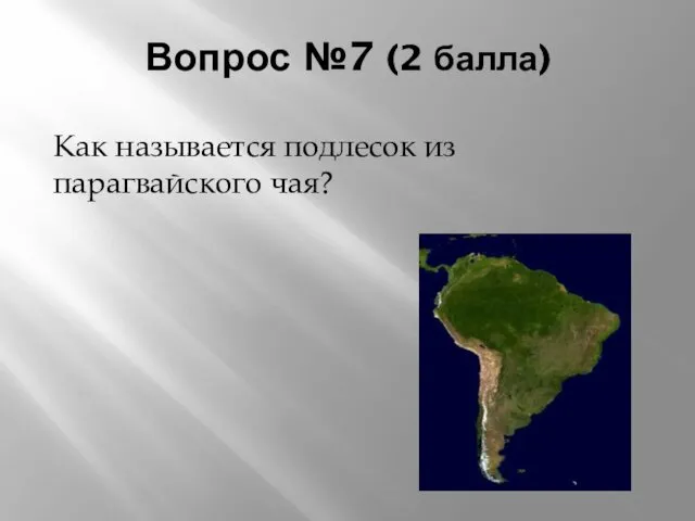 Вопрос №7 (2 балла) Как называется подлесок из парагвайского чая?