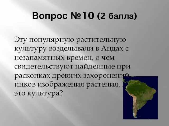 Вопрос №10 (2 балла) Эту популярную растительную культуру возделывали в