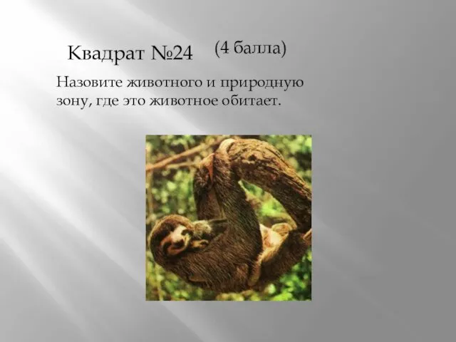 Квадрат №24 Назовите животного и природную зону, где это животное обитает. (4 балла)