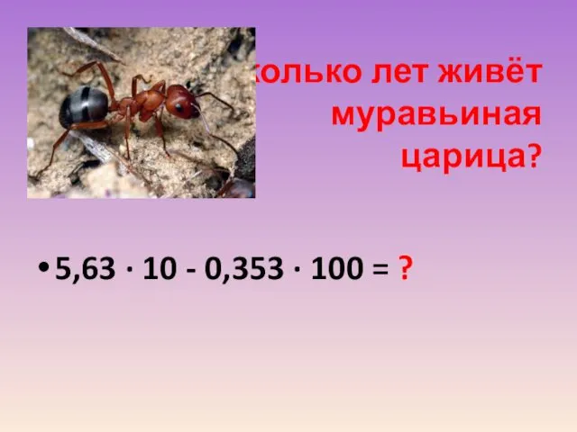 Сколько лет живёт муравьиная царица? 5,63 ∙ 10 - 0,353 ∙ 100 = ?