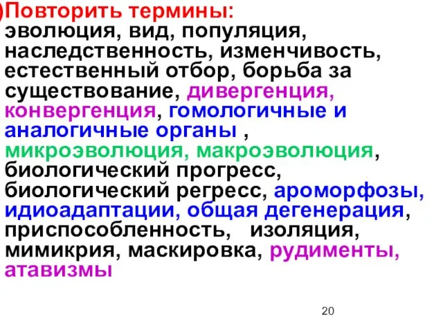 Повторить термины: эволюция, вид, популяция, наследственность, изменчивость, естественный отбор, борьба