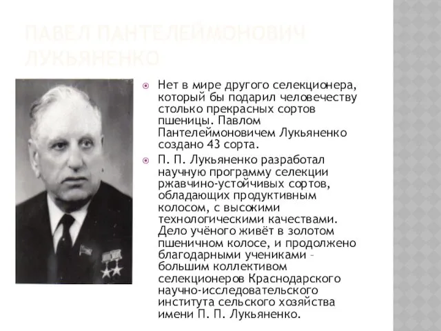 ПАВЕЛ ПАНТЕЛЕЙМОНОВИЧ ЛУКЬЯНЕНКО Нет в мире другого селекционера, который бы