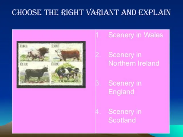 Choose the right variant and explain