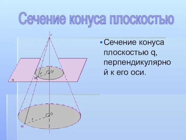 Сечение конуса плоскостью q, перпендикулярной к его оси. Сечение конуса плоскостью