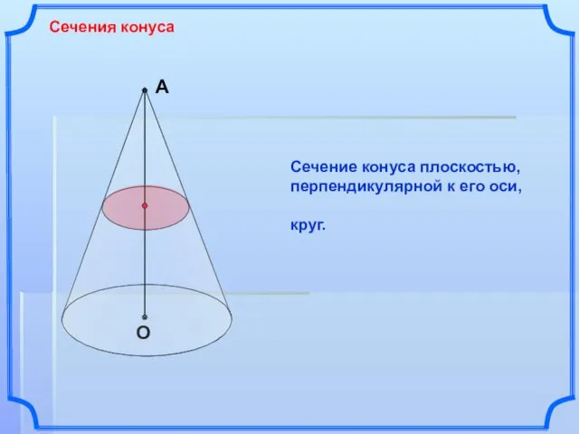 А О Сечения конуса Сечение конуса плоскостью, перпендикулярной к его оси, круг.