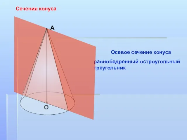 А О Сечения конуса Осевое сечение конуса равнобедренный остроугольный треугольник