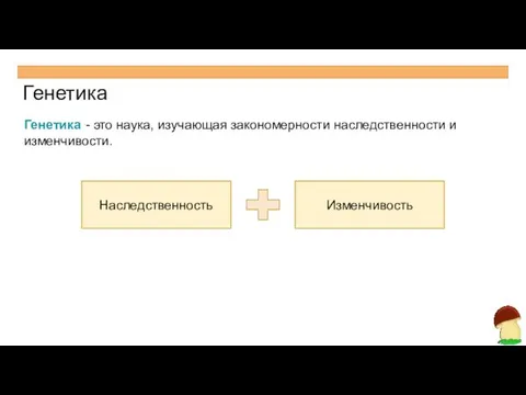 Генетика Генетика - это наука, изучающая закономерности наследственности и изменчивости. Наследственность Изменчивость