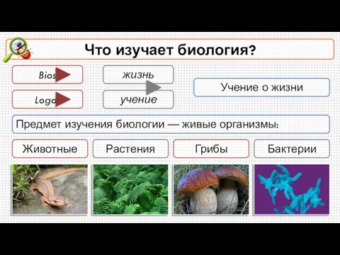 Что изучает биология? Bios жизнь Logos учение Учение о жизни