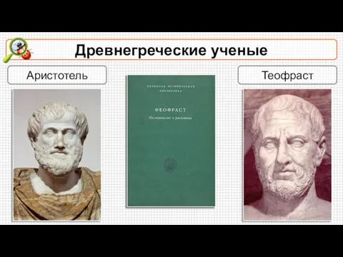 Древнегреческие ученые Аристотель Теофраст