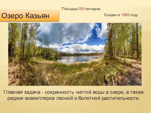 Озеро Казьян Создан в 1993 году Площадь150 гектаров Главная задача