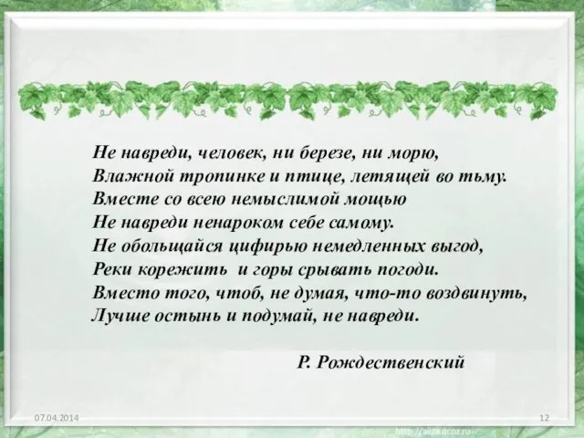 07.04.2014 Не навреди, человек, ни березе, ни морю, Влажной тропинке