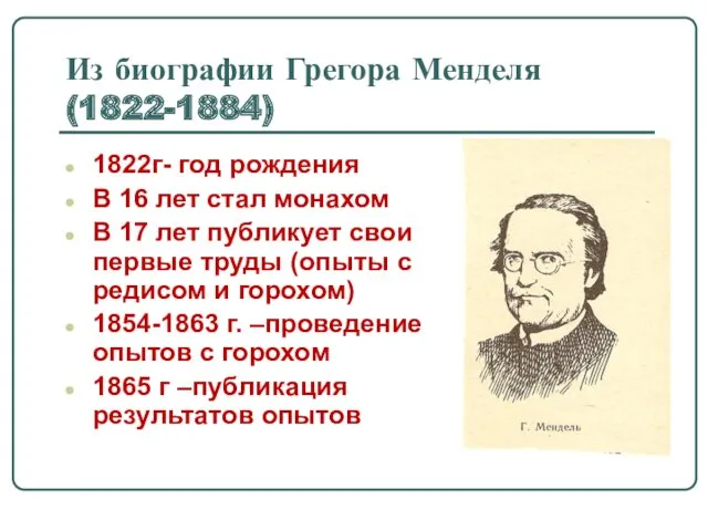 Из биографии Грегора Менделя (1822-1884) 1822г- год рождения В 16