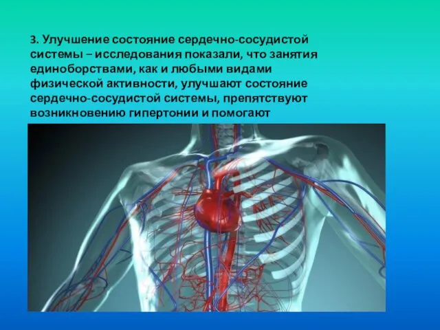 3. Улучшение состояние сердечно-сосудистой системы – исследования показали, что занятия