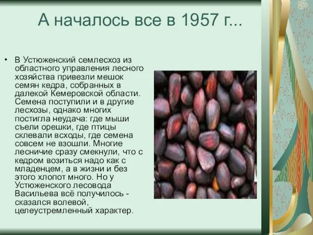 А началось все в 1957 г... В Устюженский семлесхоз из
