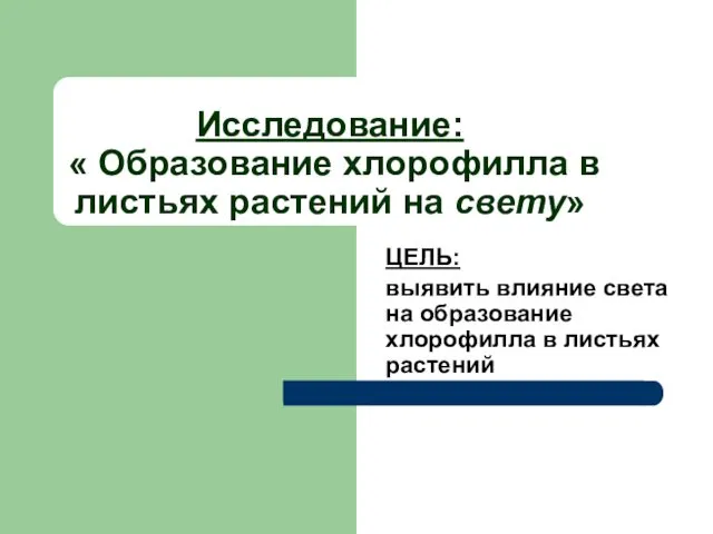 Исследование: « Образование хлорофилла в листьях растений на свету» ЦЕЛЬ: