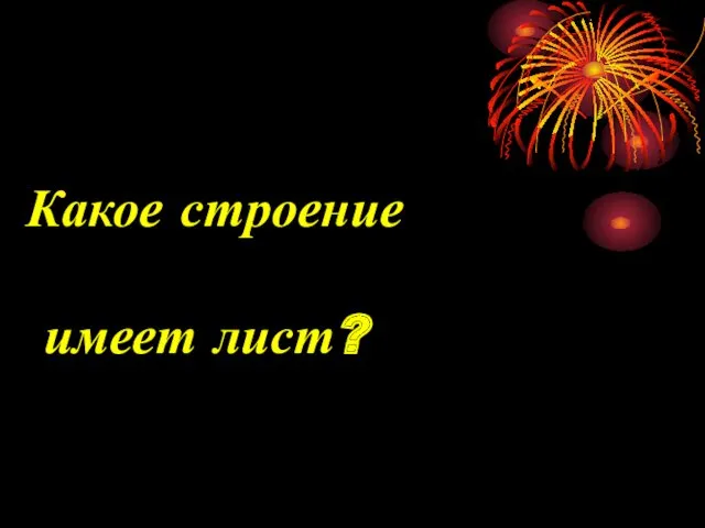 Какое строение имеет лист?