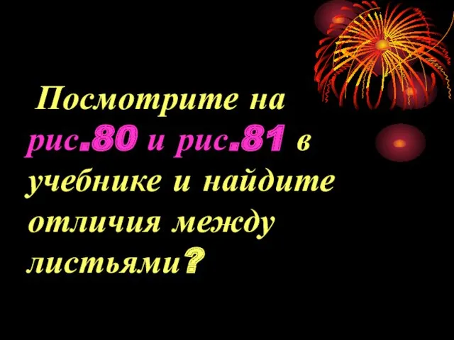 Посмотрите на рис.80 и рис.81 в учебнике и найдите отличия между листьями?