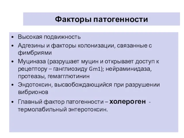 Факторы патогенности Высокая подвижность Адгезины и факторы колонизации, связанные с