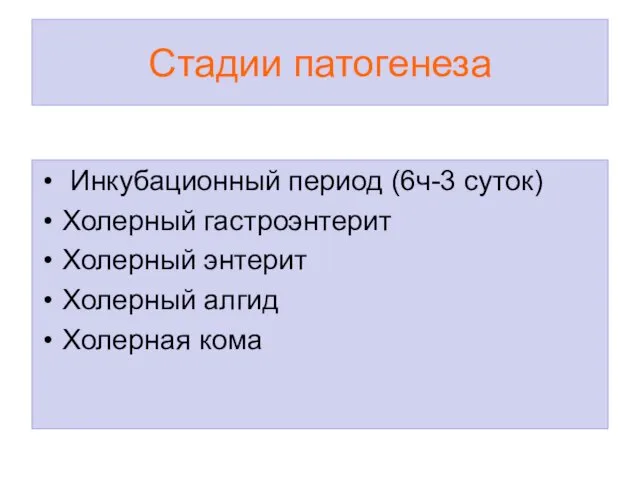 Стадии патогенеза Инкубационный период (6ч-3 суток) Холерный гастроэнтерит Холерный энтерит Холерный алгид Холерная кома