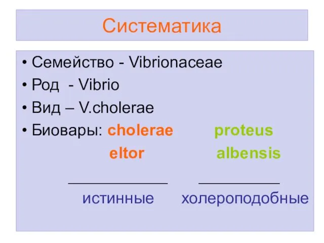 Систематика Семейство - Vibrionaceae Род - Vibrio Вид – V.cholerae