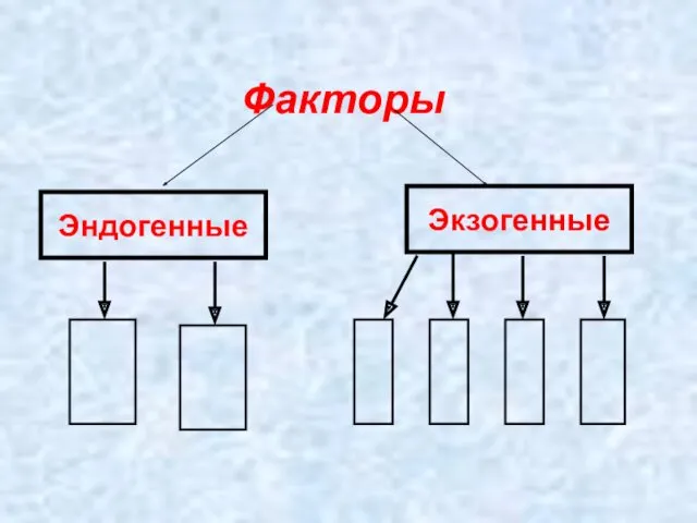 Факторы Эндогенные Экзогенные