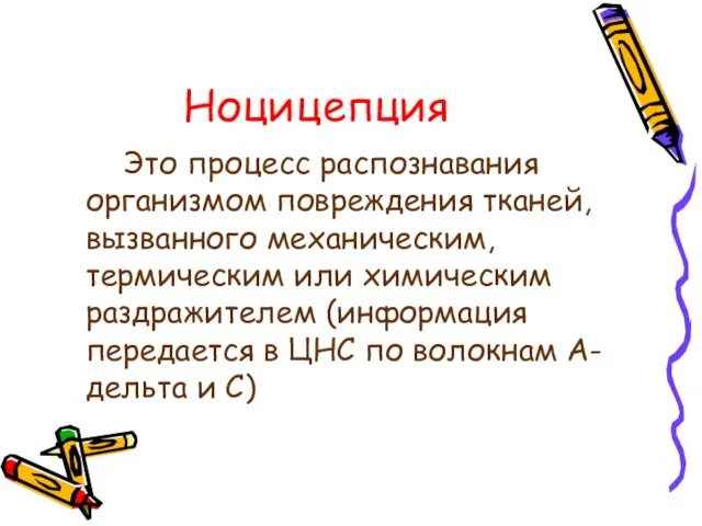 Ноцицепция Это процесс распознавания организмом повреждения тканей, вызванного механическим, термическим