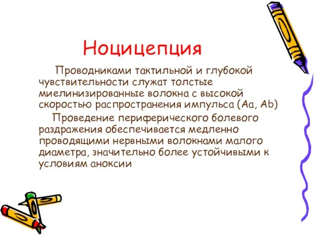 Ноцицепция Проводниками тактильной и глубокой чувствительности служат толстые миелинизированные волокна