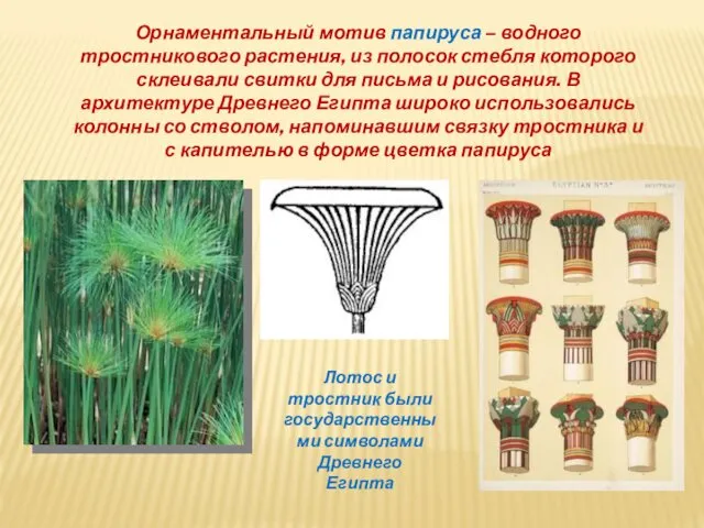 Орнаментальный мотив папируса – водного тростникового растения, из полосок стебля