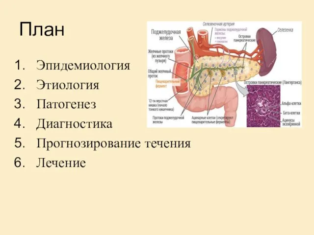 План Эпидемиология Этиология Патогенез Диагностика Прогнозирование течения Лечение