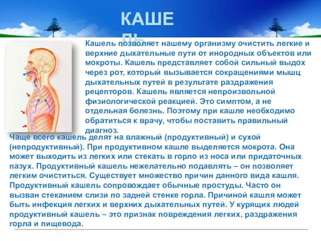 КАШЕЛЬ Кашель позволяет нашему организму очистить легкие и верхние дыхательные